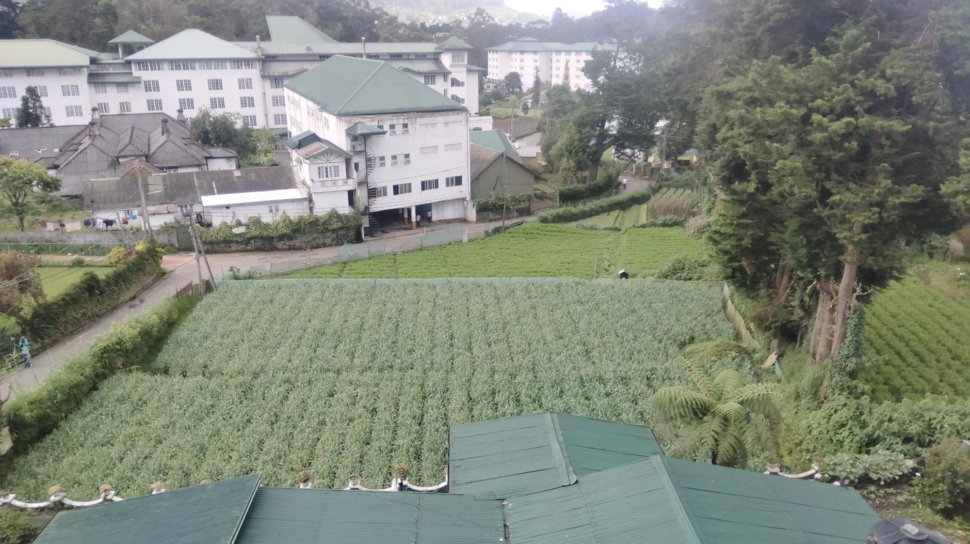 Nuwara Eliya Luxury Apartment Exteriör bild